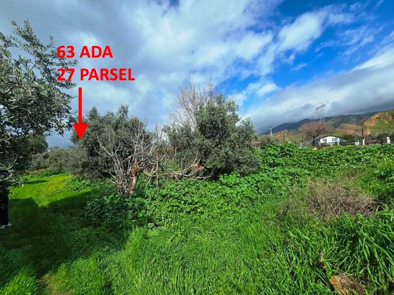 Kurtuluş Mahallesi'nde İmarlı Arsa